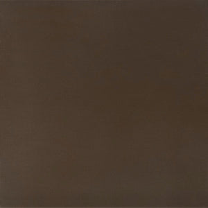 Bronze Lacquer