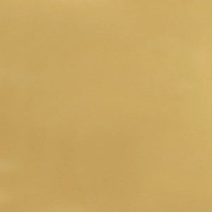 Polished Gold Lacquer