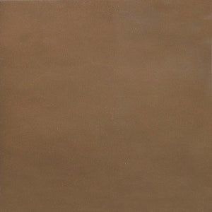 Polished Brown Lacquer
