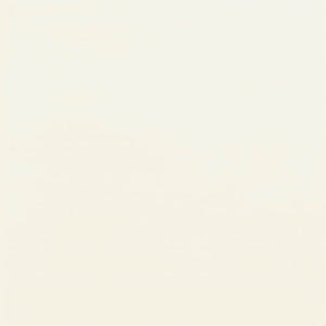 Satin White Lacquer
