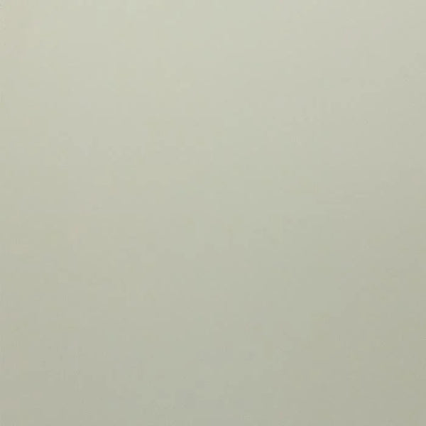 Solid light gray color swatch