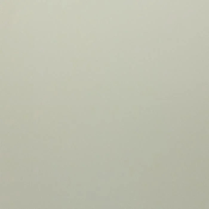 Solid light gray color swatch